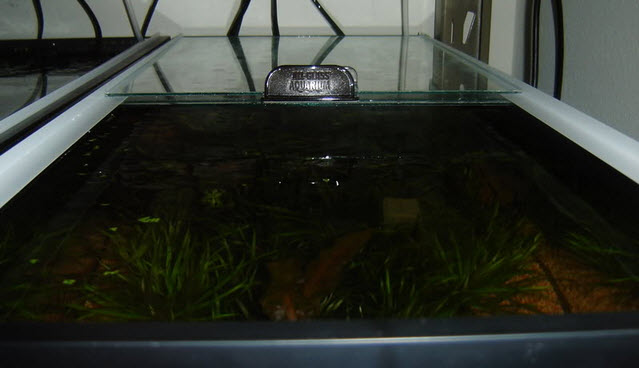 Glass Tanks and Covers