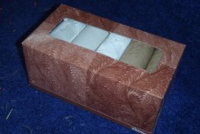 Tissue-Box-Foraging-Toy