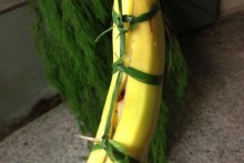 DIY-Banana-Peel-Enrichment