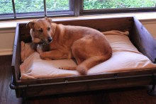 DIY-Industrial-Style-Dog-Bed