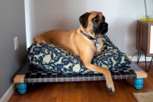 DIY-Woven-Dog-Bed