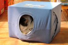 T-shirt-Box-Hide