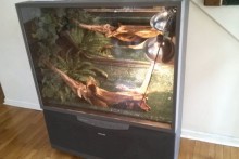 TV-Iguana-Cage