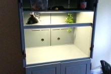 Armoire-Bearded-Dragon-Cage