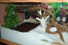 DIY-Second-Substrate-Pit