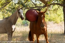 DIY-Net-Ball-Horse-Toy