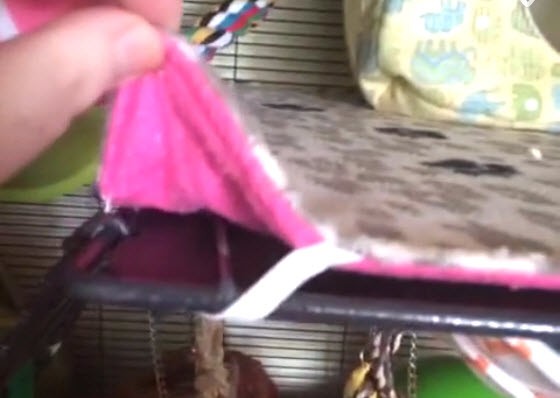 diy rat cage liners