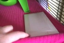 DIY-Rodent-Cooling-Tile