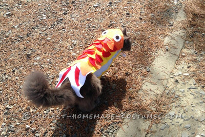 DIY Cat Fish Costume 