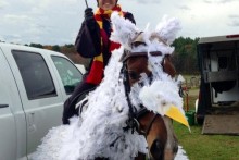 DIY-Horse-Hippogriff-Costume