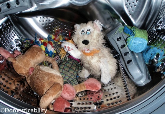 Washing stuffed hotsell dog toys