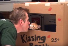 DIY-Cat-Kissing-Booth-Box