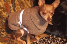 DIY-Wool-Dog-Fitted-Cape