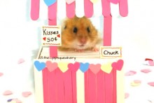 Popsicle-Stick-Hamster-Kissing-Booth