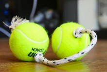 DIY-Double-Tennis-Ball-Rope-Toy