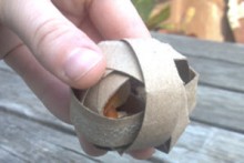 TP-Roll-Foraging-Ball
