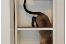 Bookcase-Cat-Tower