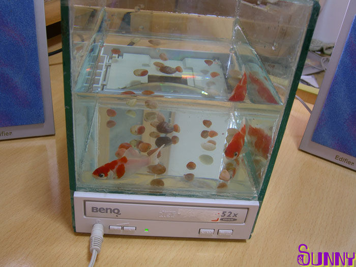 CD Player Fish Tank 