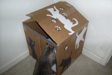Cardboard-Box-Kitty-Litter-Box