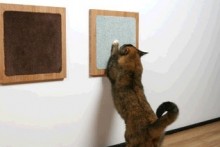 Carpet-Wood-Cat-Wall-Scratchers1