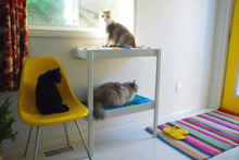 Changing-Table-Cat-Perch