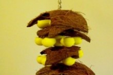 Coconut-Parrot-Toy