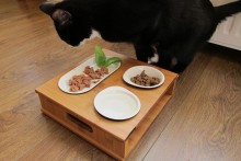Cutting-Board-Cat-Food-Tray