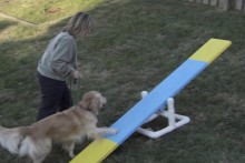 DIY-3-Event-Dog-Agility-Course
