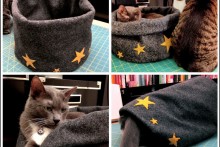 DIY-3-in-1-Cat-Bed