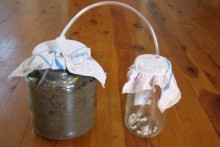 DIY-Ant-Farm-Feeder-Jar