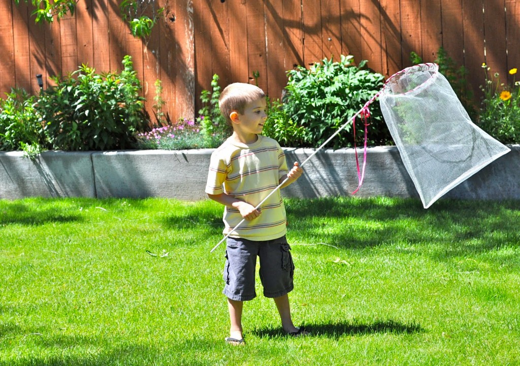 DIY Butterfly Net 