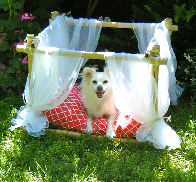 dog canopy bed diy