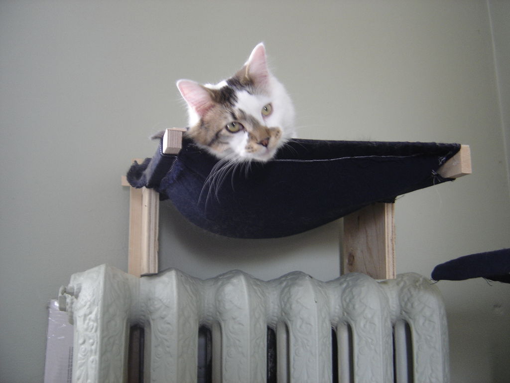 diy cat hammock wall