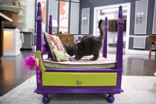 DIY-End-Table-Cat-Bed
