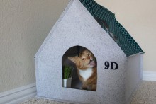 DIY-Fabric-Cat-House