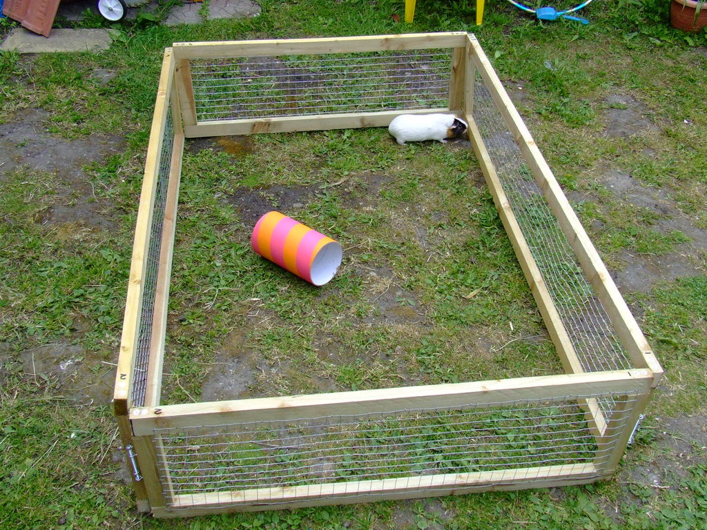 Diy guinea shop pig playpen