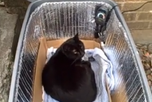 DIY-Heated-Cat-Shelter