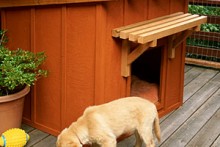 DIY-Ranch-Style-Doghouse