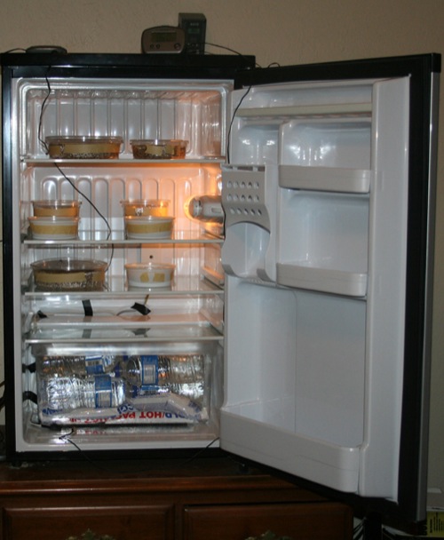 DIY Refrigerator Incubator - petdiys.com