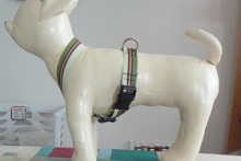 DIY-Ribbon-Dog-Harness1