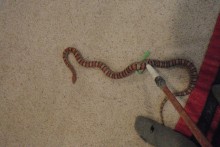 DIY-Snake-Hook-Stick