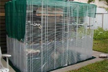 DIY-Wire-Shelves-Cat-Enclosure