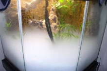 Dry Ice Vivarium Pest Control