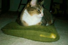 Fabric-Heated-Pet-Bed