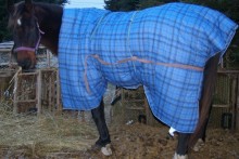 Fabric-Horse-Blanket