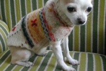Fabric-Vest-Dog-Sweater