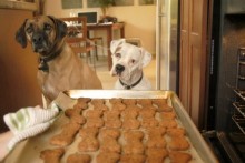 Flax-Seed-Dog-Biscuits1