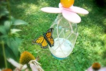 Glass-Jar-Butterfly-Feeder