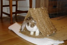 Grass-Mat-Rabbit-Tent