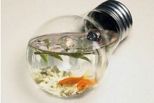 Light-Bulb-Fish-Bowl